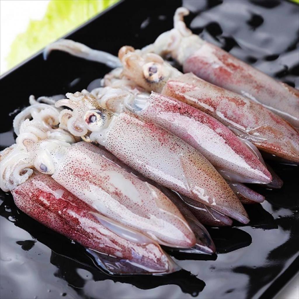 Mực Ống